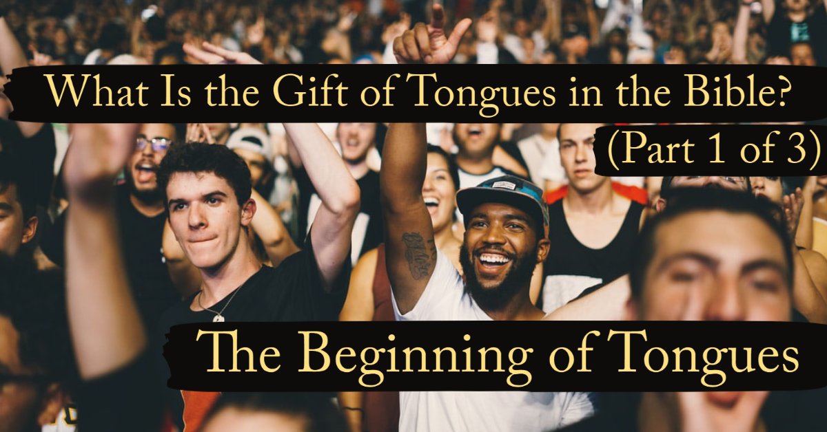 What Is The Gift Of Tongues In The Bible? (Part 1 Of 3) The Beginning ...